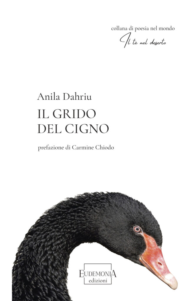 Anila Dahriu - Il grido del cigno (2026)